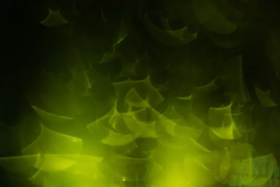 Billion Kasino Sokongan